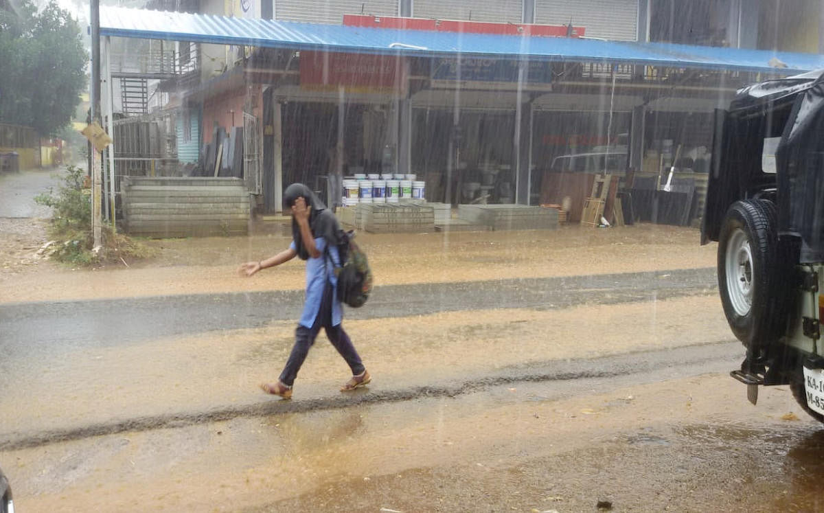 A student walks on the road amid rain at Siddapur in Virajpet taluk on Wednesday. DH photo