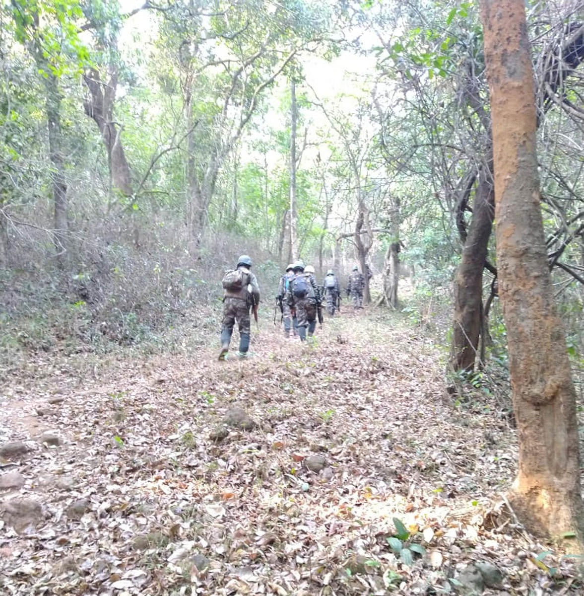 Anti-Naxal Force personnel carry out combing operations at Irpu on the foothills of Brahmagiri in Kodagu district.