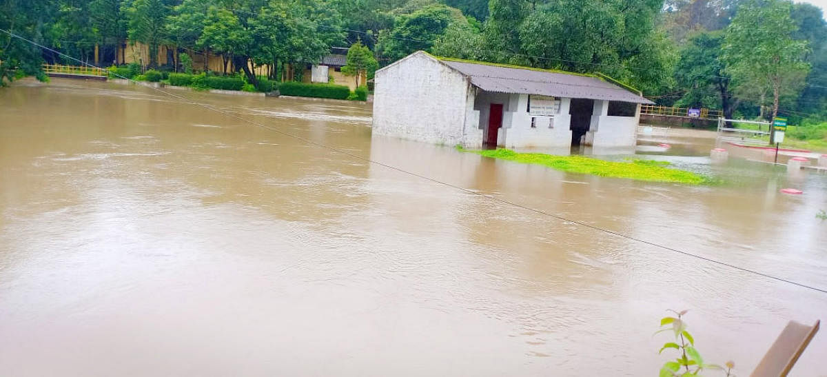 The water level in Triveni Sangama at Bhagamandala, Kodagu district, has increased following incessant rain in the region.