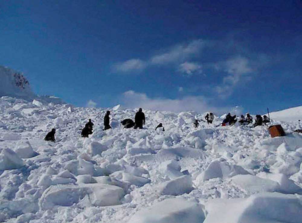 Defence Minister Rajnath Singh on Monday announced that a stretch from the Siachen base camp to Kumar post, has been opened for tourism. (PTI File Photo)