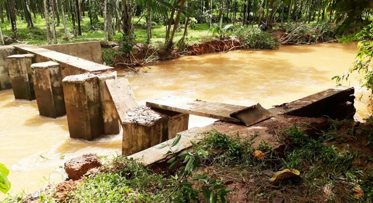 The collapsed vented dam at Nekkiladi in Alankaru