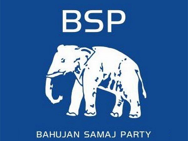 The workers were angry with Mane as he declared support to NCP candidate Ajit Pawar despite being in the fray himself as the BSP candidate, the police said.