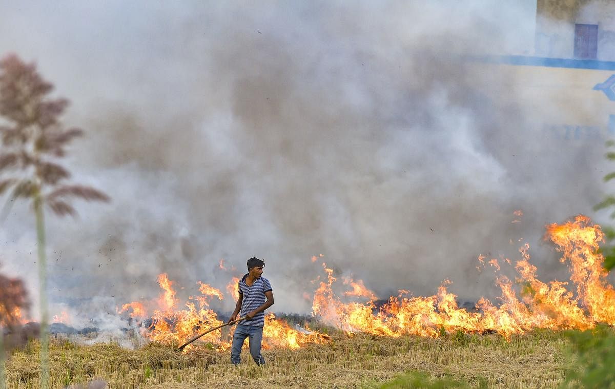 Stubble burning is considered as one of the major contributing factors for increasing air pollution and smoky haze in New Delhi (PTI Photo)