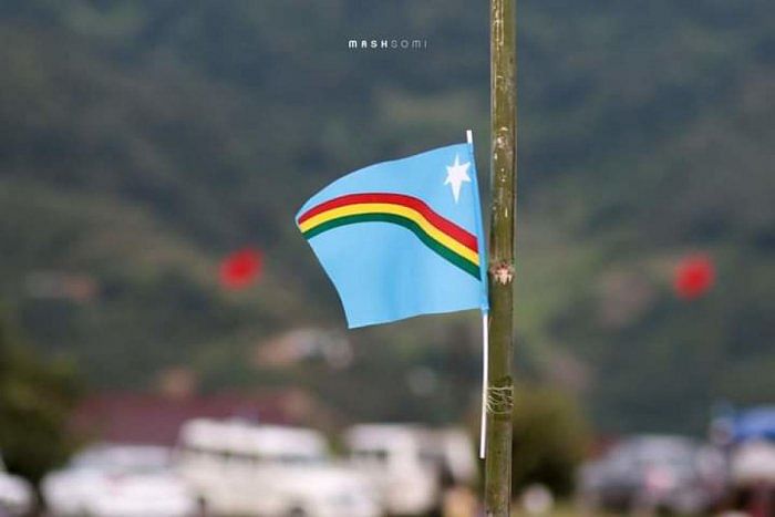 Nagaland's flag