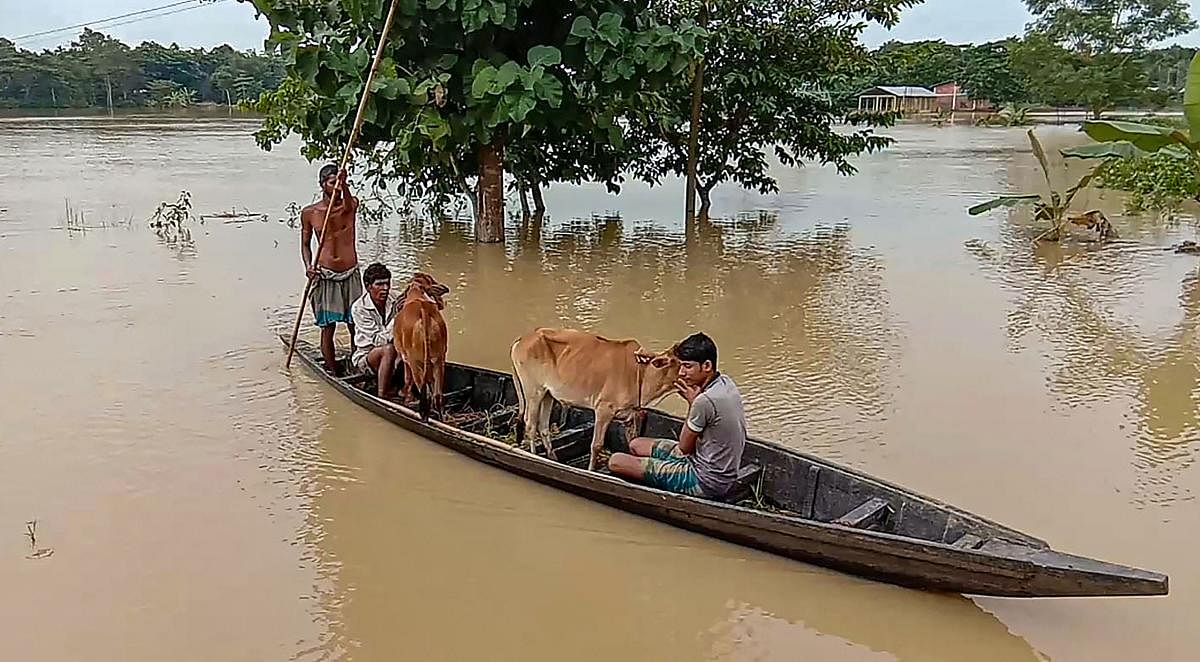 Villagers wade across a flooded area on a boat in Nagaon district of Assam, Monday, Oct. 28, 2019. (PTI Photo)