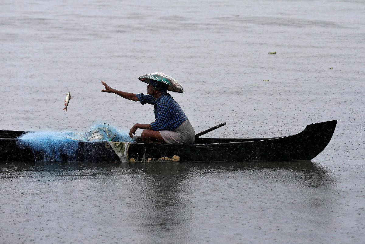 A fisherman collects fish from a net in the waters of Vembanad Lake during heavy rains caused by Cyclone Maha in Kochi on October 31, 2019. (REUTERS)