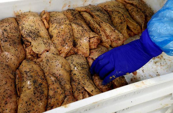 n employee prepares foie gras (duck liver) at the Maison Lafitte company factory in Montaut. (Reuters photo)