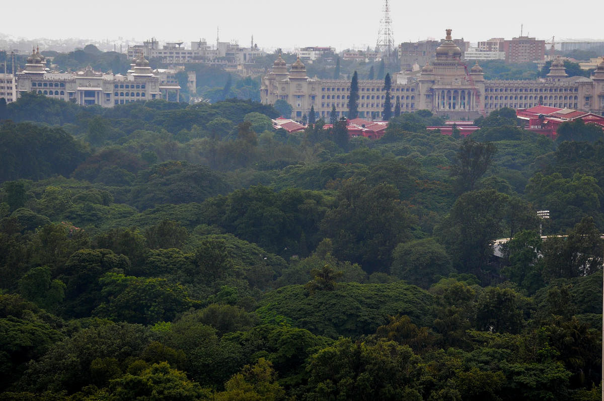 Top view of Sri Chamarajendra Park (Cubbon Park). DH Photo