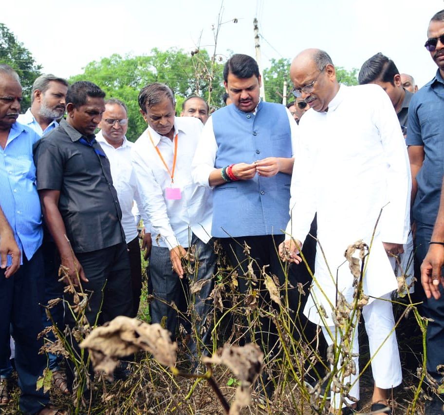Fadnavis visited farm areas in Mhaispur, Lakhanwada, Kapashi and Chikhalgaon in Akola in the morning and interacted with farmers who had suffered crop damage. Twitter