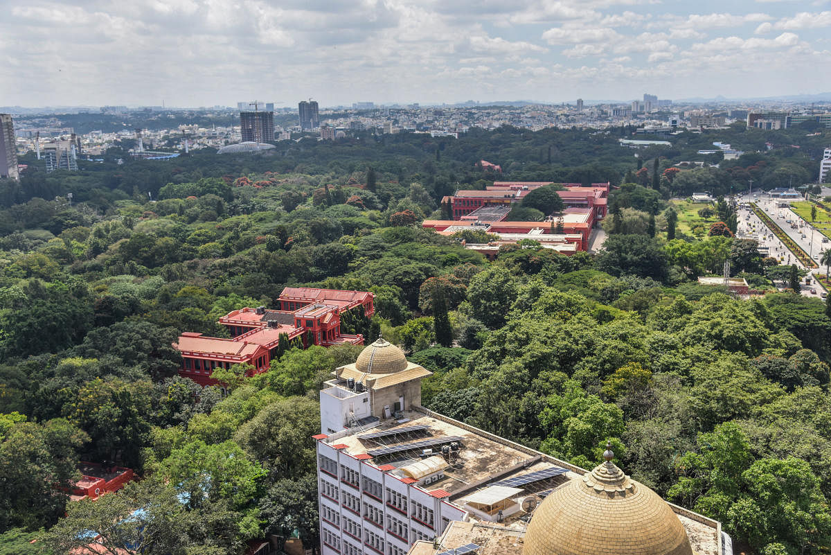 Top view of Sri Chamarajendra Park (Cubbon Park) in Bengaluru. Photo by S K Dinesh