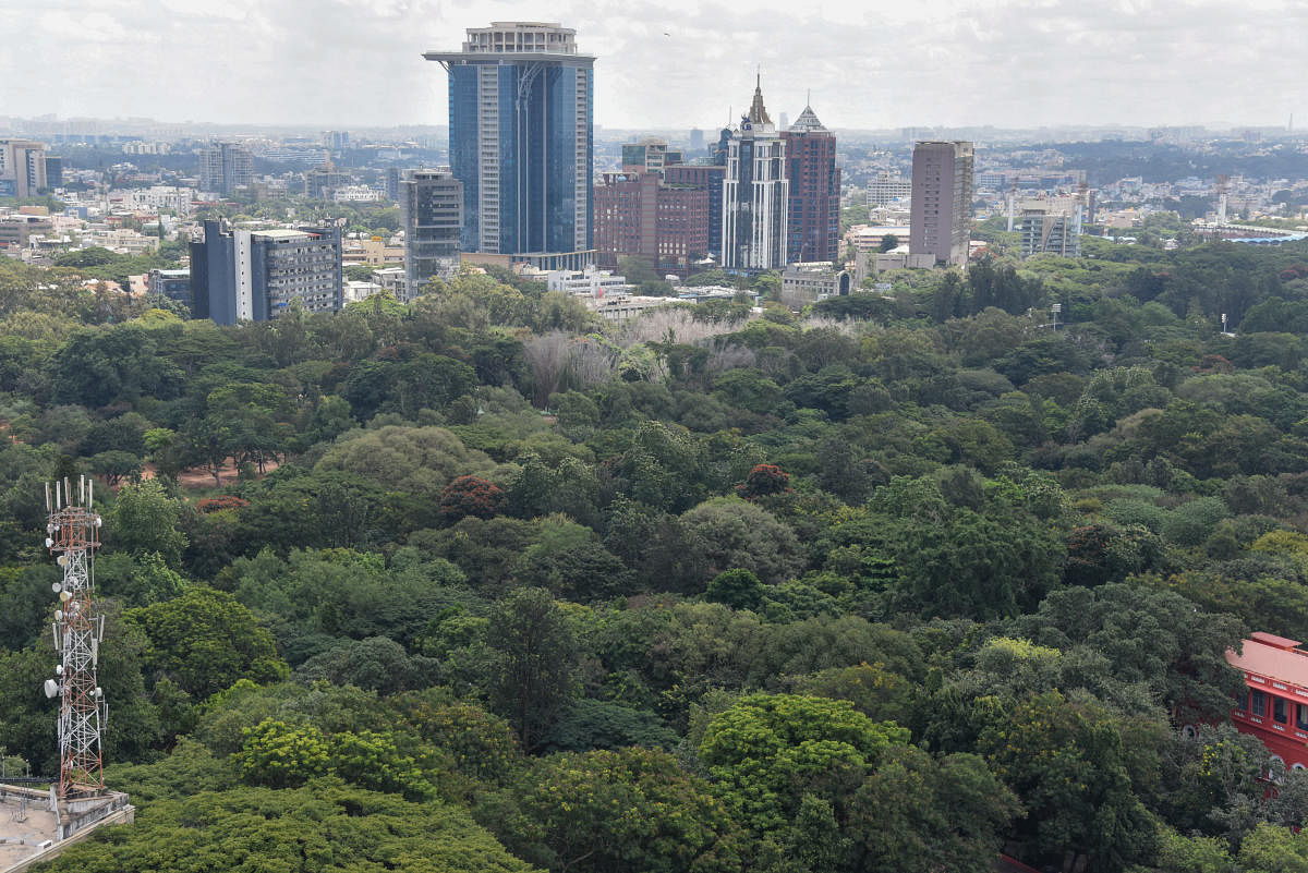 An aerial view of Cubbon Park in Bengaluru. DH Photo/Dinesh SK