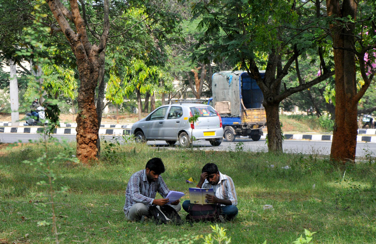 A view of Bangalore University, Jnanabharathi campus, in Bangalore. Photo/ MSM
