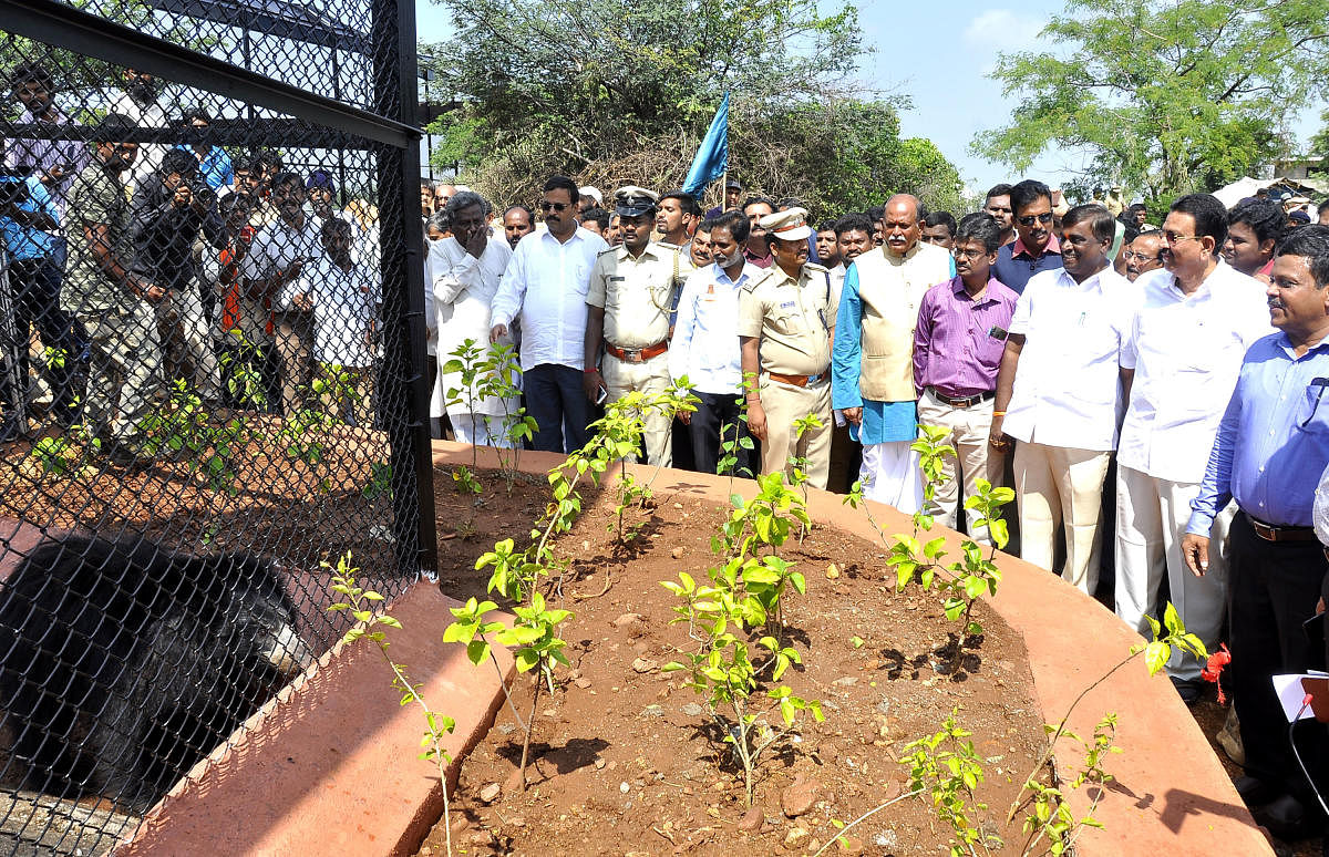 Forest Minister C C Patil, Bellary City MLA Somashekar Reddy, MP Y Devendrappa