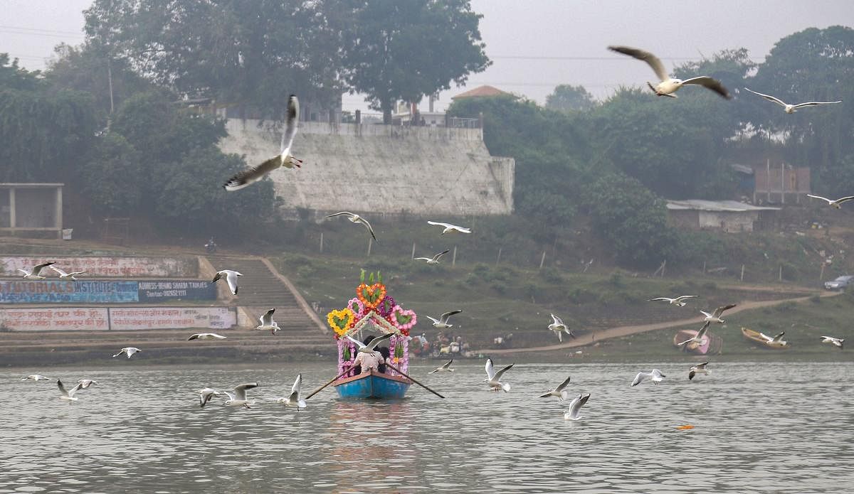 Birds fly over Narmada river as a boat ferries across, in Jabalpur, Sunday, Nov. 03, 2019. (PTI Photo)