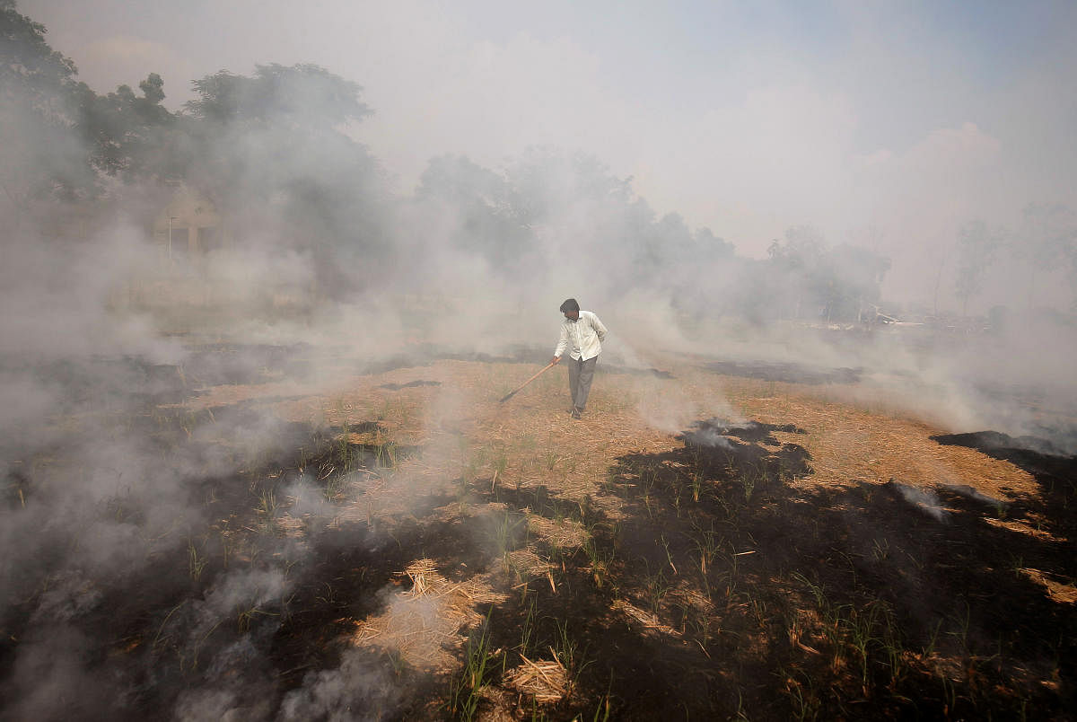 A farmer burns paddy waste stubble in a field on the outskirts of Ahmedabad, India, November 6, 2019. (REUTERS)