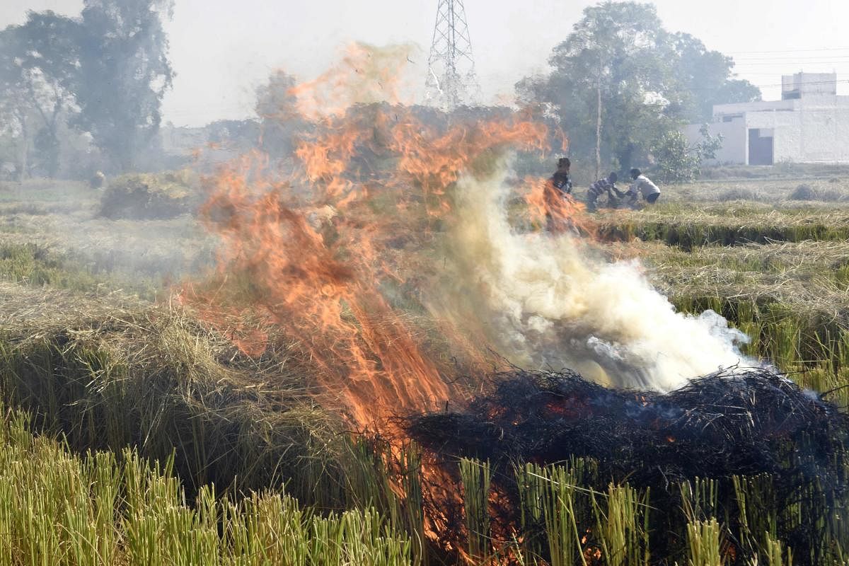 People burn straw stubble after harvesting paddy crops in a field near Attari village, some 35 km from Amritsar on November 5, 2019. AFP Photo