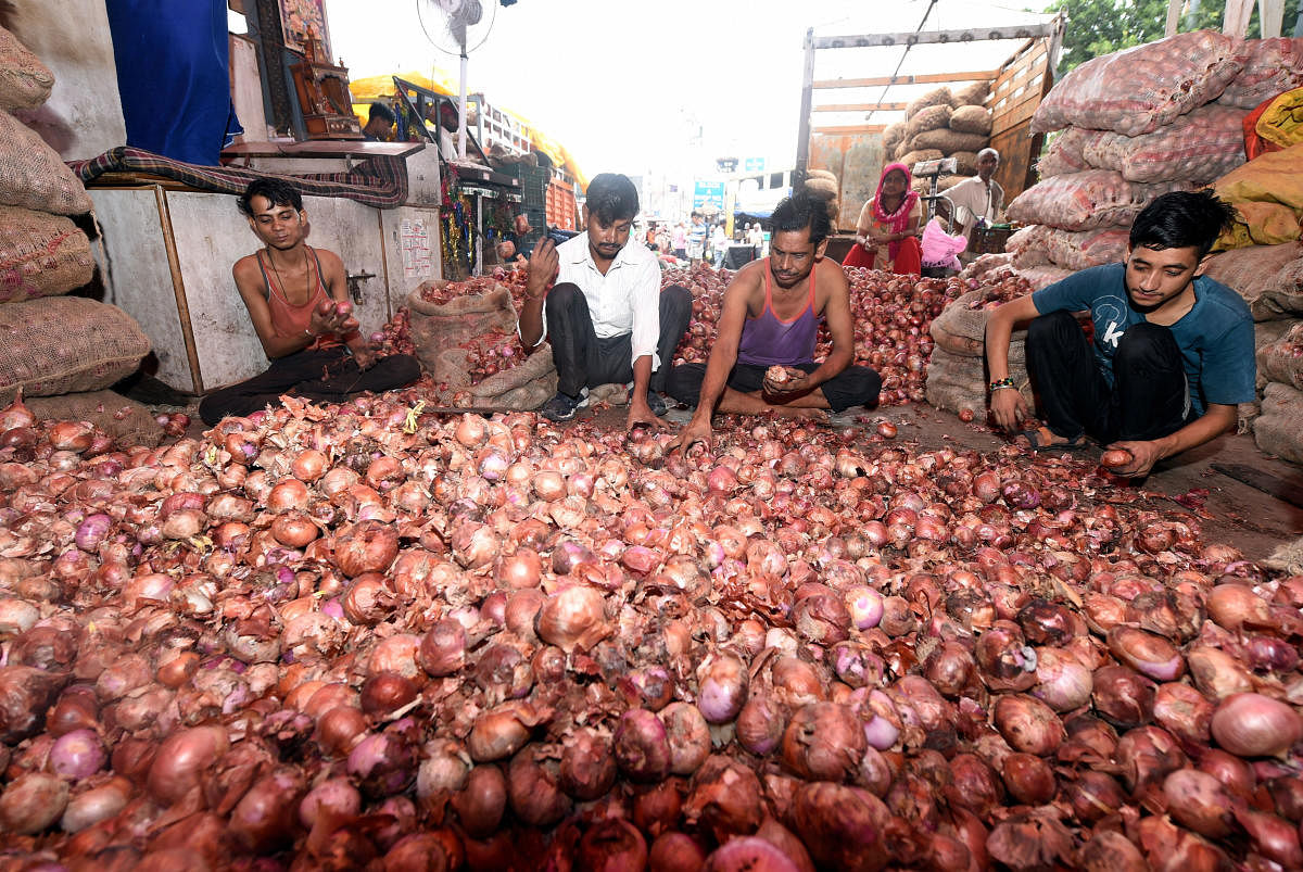 A major market of the Agriculture Produce Marketing Committee (APMC), in New Delhi. (PTI Photo)