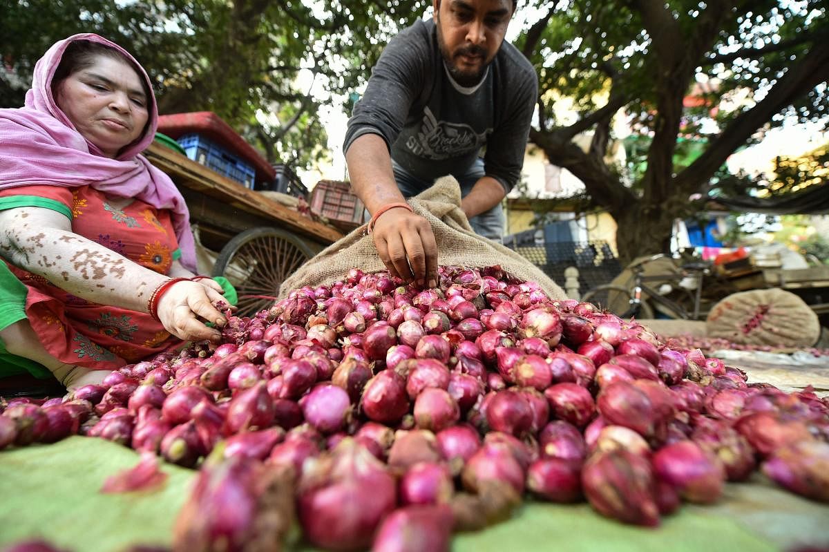 The retail price of onions has risen by 45 per cent in the last one week to Rs 80/kg in the national capital despite the central government's measures to boost supply and contain price rise.(PTI Photo)