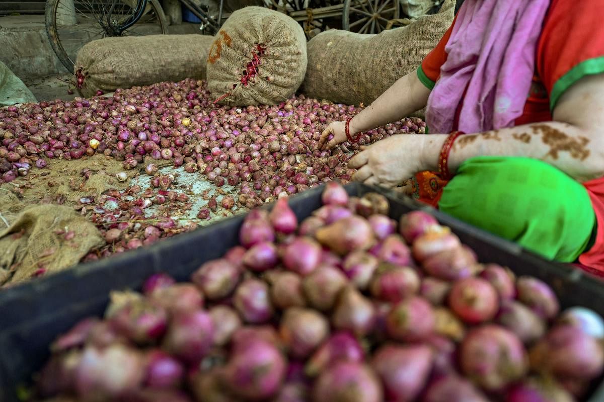 To speed up onion imports, Agriculture Ministry eased the phytosanitary rules that levied four-time the inspection fees. (PTI Photo)