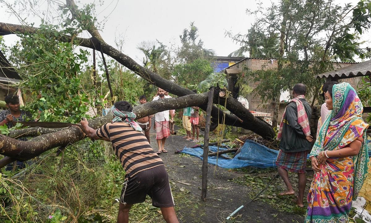 Villagers clear a blocked road after a tree uprooted in the aftermath of cyclone 'Bulbul', at Bakkhali, in South 24 Parganas district of West Bengal, Sunday, Nov. 10, 2019. (PTI Photo/Ashok Bhaumik)