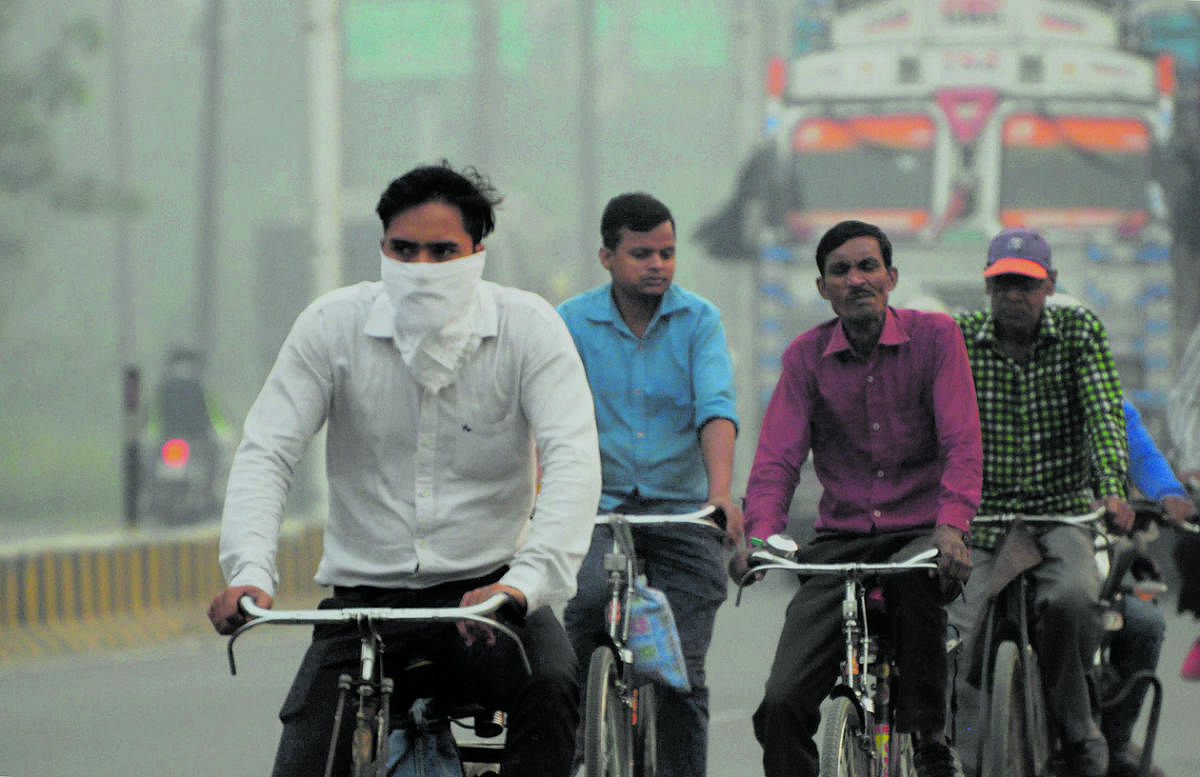 Cyclists ride through dense smog. (PTI Photo)