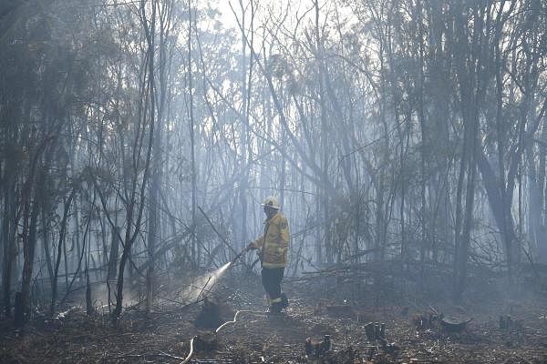 A firefighter doses a bushfire in the residential area of Sydney on November 12, 2019. (AFP photo)