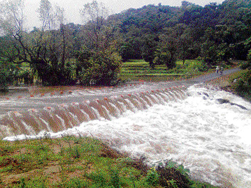 Roaring: A stream overflows at Kudigana near Somwarpet in Kodagu district. dh photo