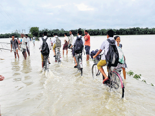 PEDALLING THEIRWAY: School studentswade through a flooded street in Baksa district in AssamonWednesday. PTI