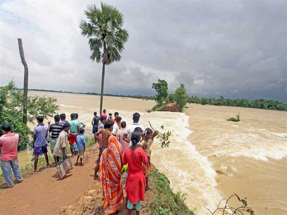 As many as 15 people were killed in rain-related incidents, 640 were rescued and 2,225 evacuated to safer places in Jalore, Sirohi, Pali and Barmer districts since Monday, relief secretary Hemant Gera told PTI. Representational Photo. Credit: PTI.