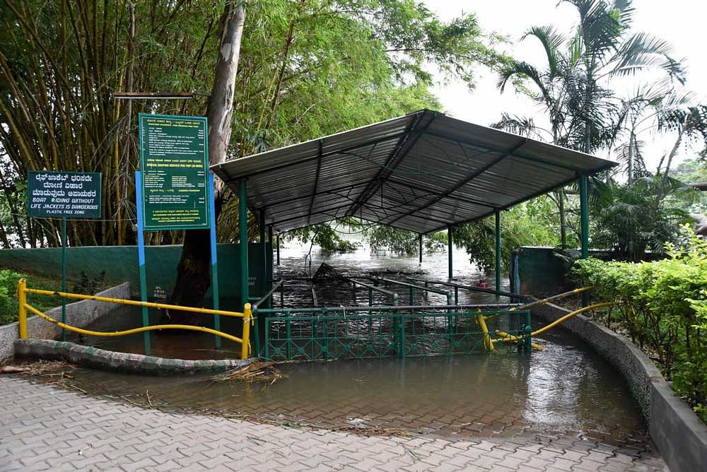 The bird sanctuary was closed for visitors for the past 30 days due to overflowing of the River Cauvery which had inundated the premises. DH File Photo