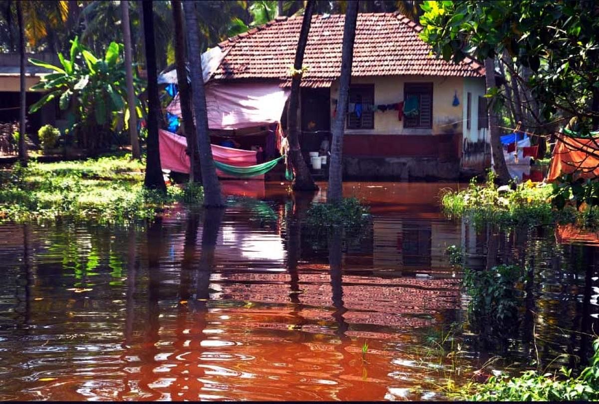 Houses marooned at Bettampady near Ullal, following a block in the estuary.