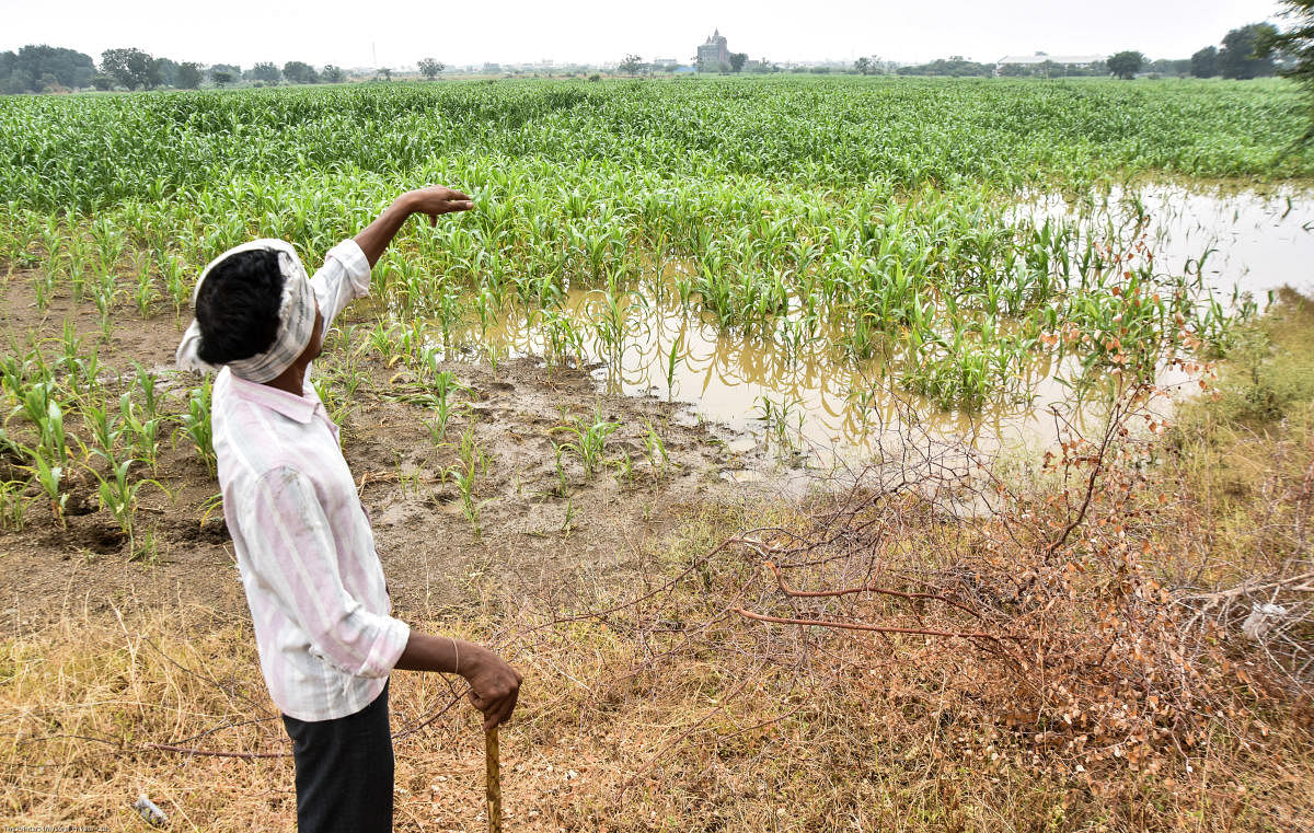 Aadhaar verification delays compensation for flood-hit farmers
