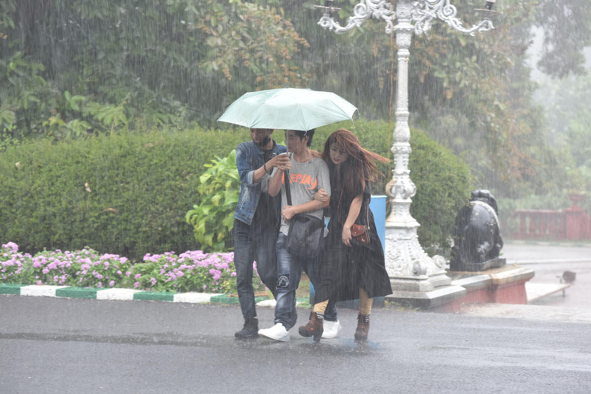 People use umbrella to protect from rain at Lalbagh in Bengaluru on Thursday. Photo by S K Dinesh