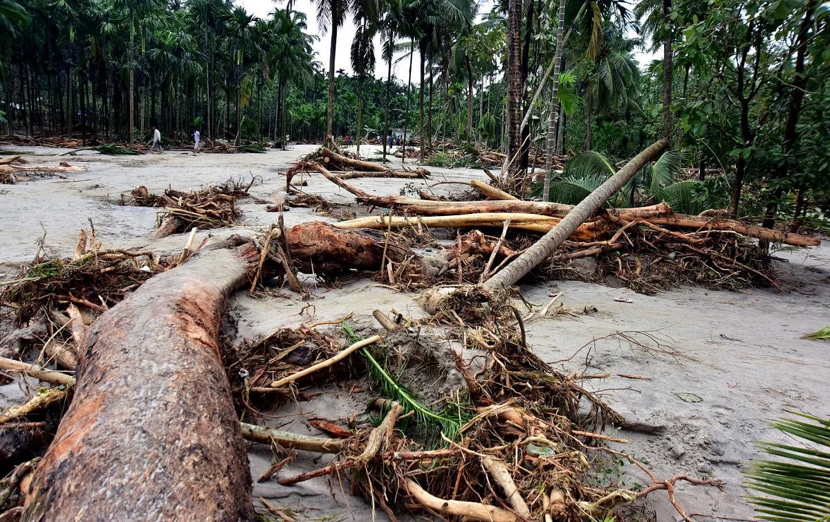 Hundreds of arecanut trees were washed away in the flash flood at Pharlani, Belthangady taluk.