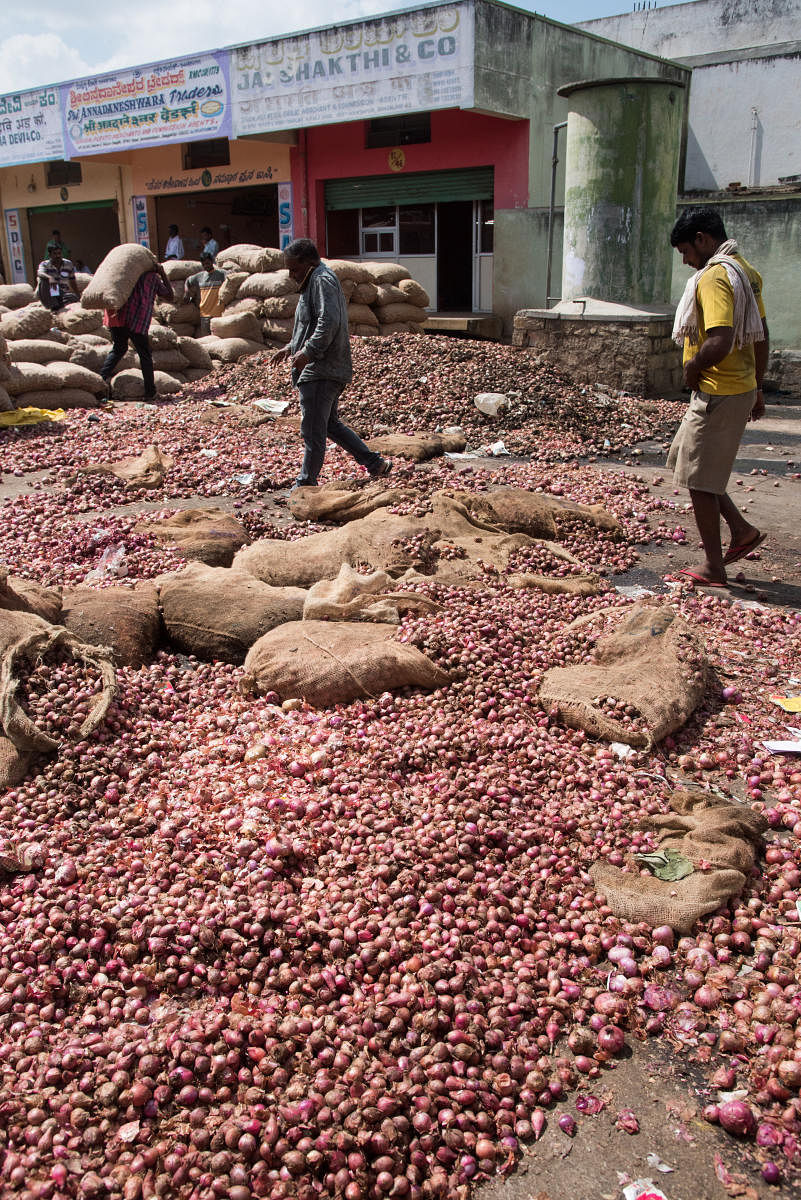 Onions left to rot at the APMC Yard in Yeshwantpur on Tuesday. DH Photo/B H Shivakumar