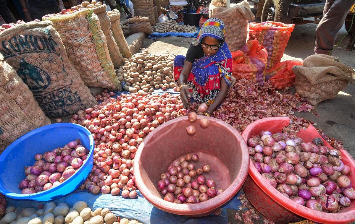 The retail price of onion has gone up to Rs 80 per kg in the Madhya Pradesh capital and many other places. PTI photo for representation