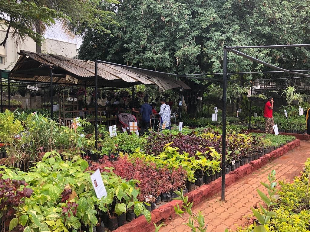 The ‘Annual Garden Fair’, on till November 24, is a way for people with disabilities to showcase their hardwork