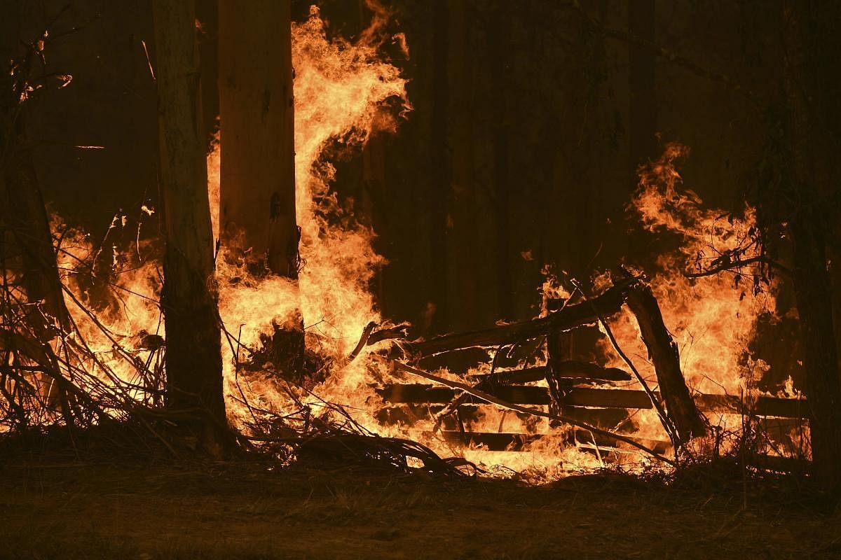 Devastating bushfires in eastern Australia. (AFP Photo)