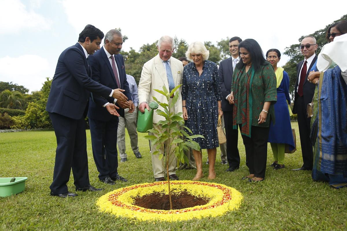 Prince Charles and his wife Camilla water a Champa sapling at a health centre in Bengaluru on Saturday. SPECIAL ARRANGEMENT