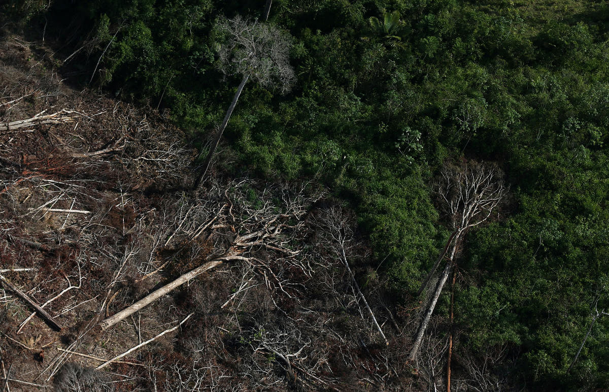 Amazon jungle after it was cleared by farmers in Itaituba. (Photo by Reuters)