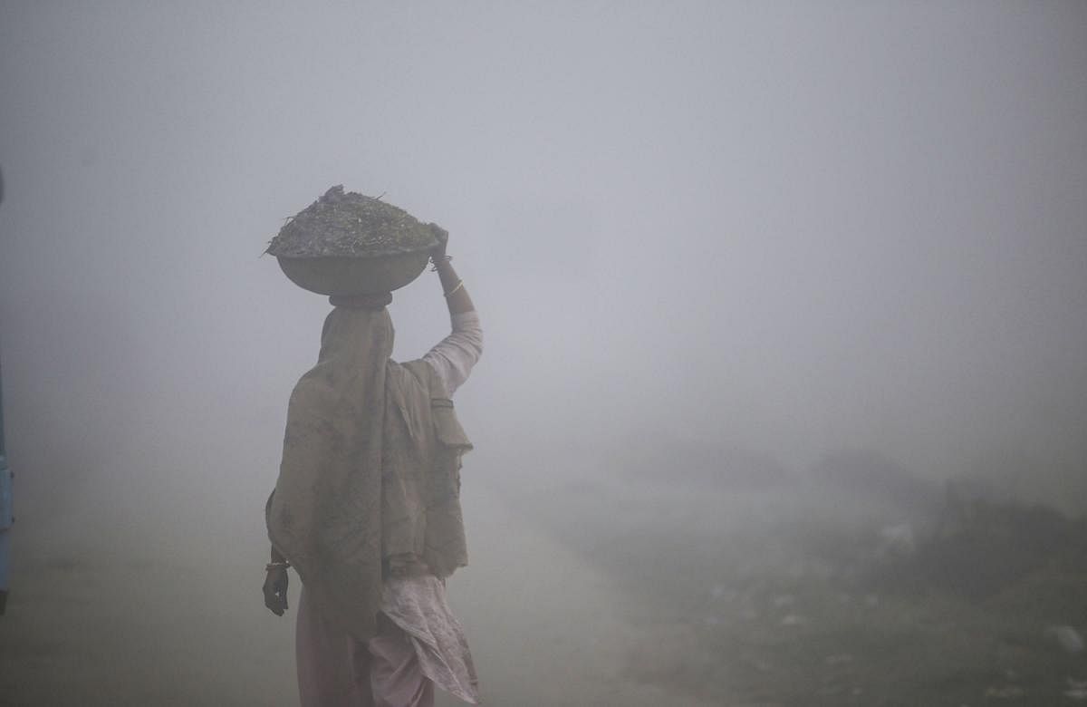 A villager walks on a road shrouded in dense fog on a cold winter morning, at Ranbir Singh Pura on the outskirts of Jammu. PTI