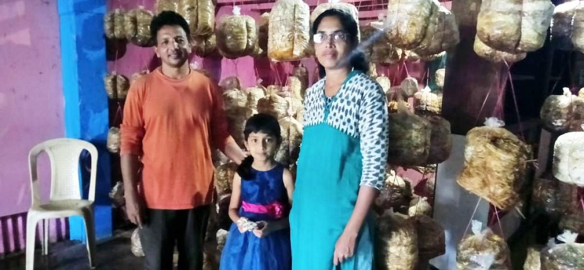 Francis D’Souza along with his family inside the room where mushroom is cultivated.