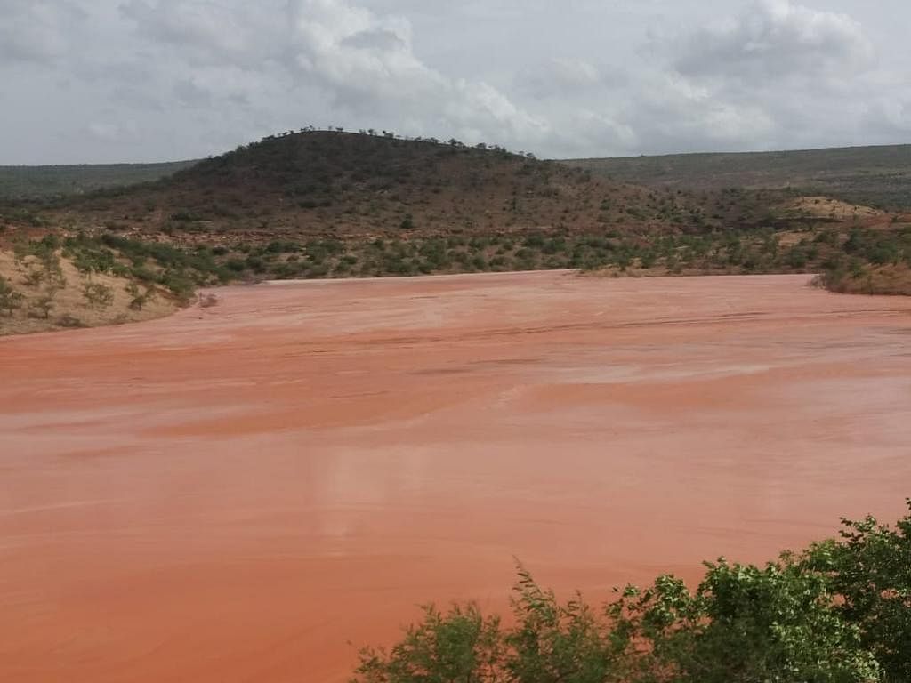 The Tummalapally Tailing pond, the blisters and deformities, the agriculture lands turned red with the seepage of radioactive slurry. Photo: HRF (Human Rights Forum)