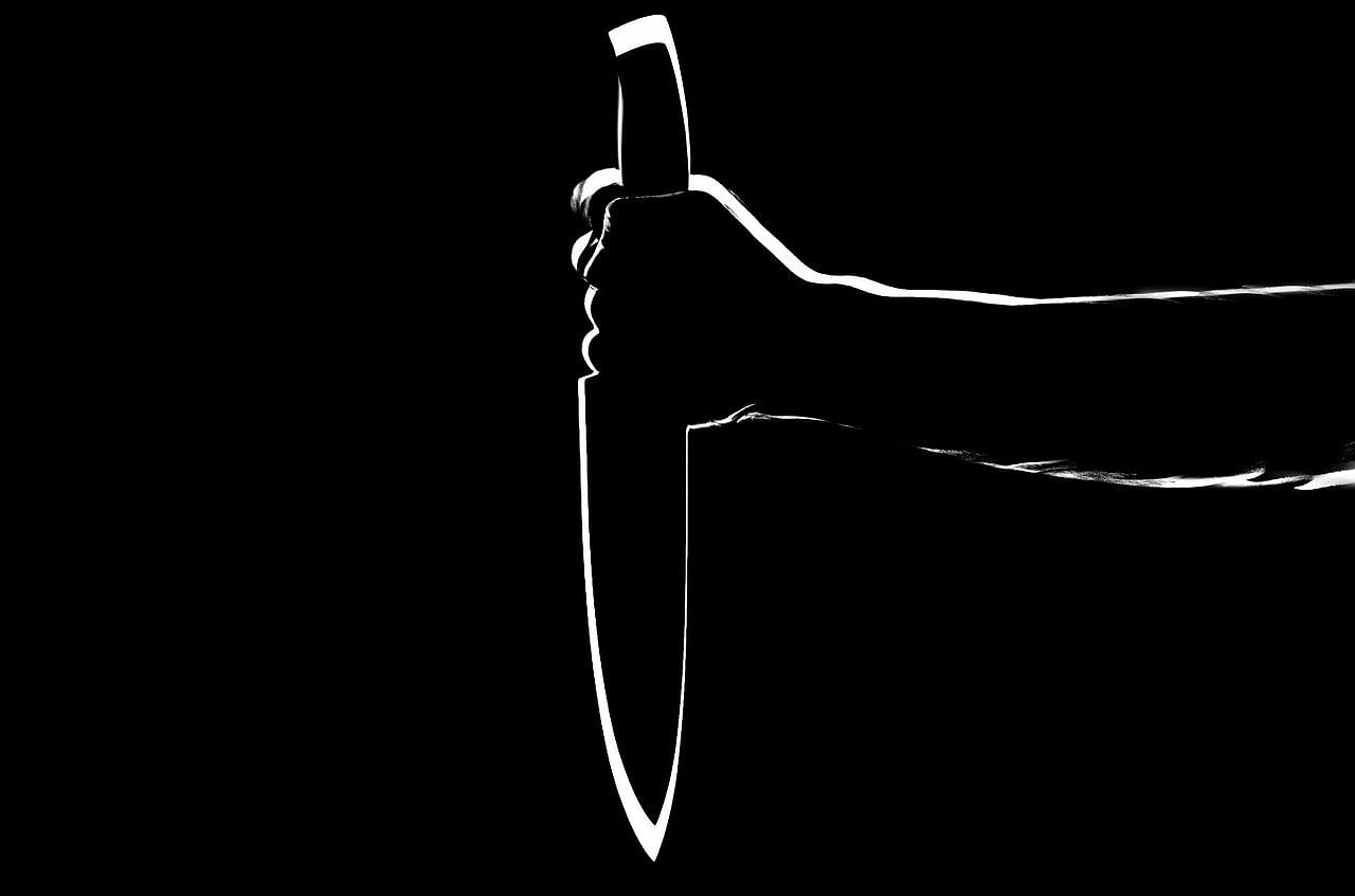Raghu said he loves her and does not like it when she talks to others. He vowed not to spare her and suddenly pulled out a knife. Representative image/Pixabay