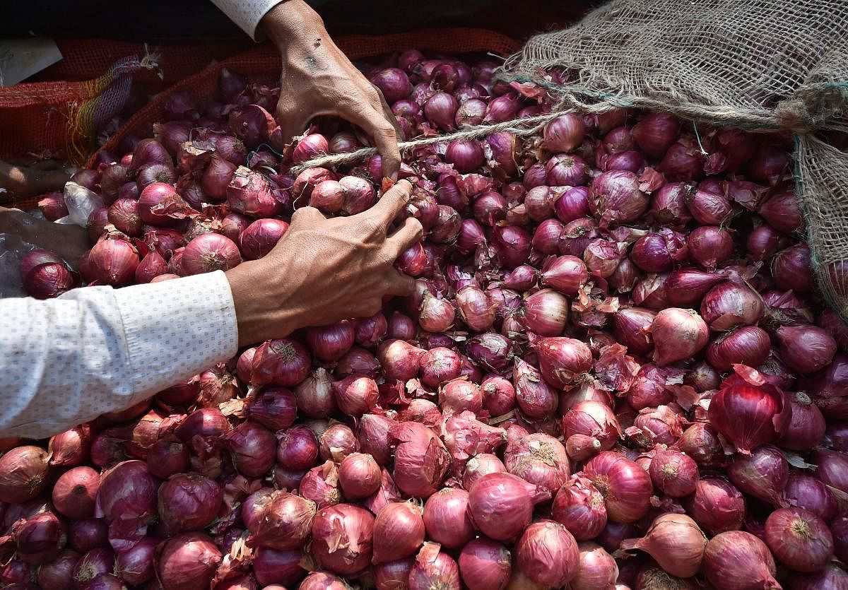 Onion prices remain high across the major cities of the country as the average selling price ruled at Rs 75 per kg on Saturday (November 30) while the maximum rate of Rs 120 per kg was recorded in Mayabunder. PTI photo