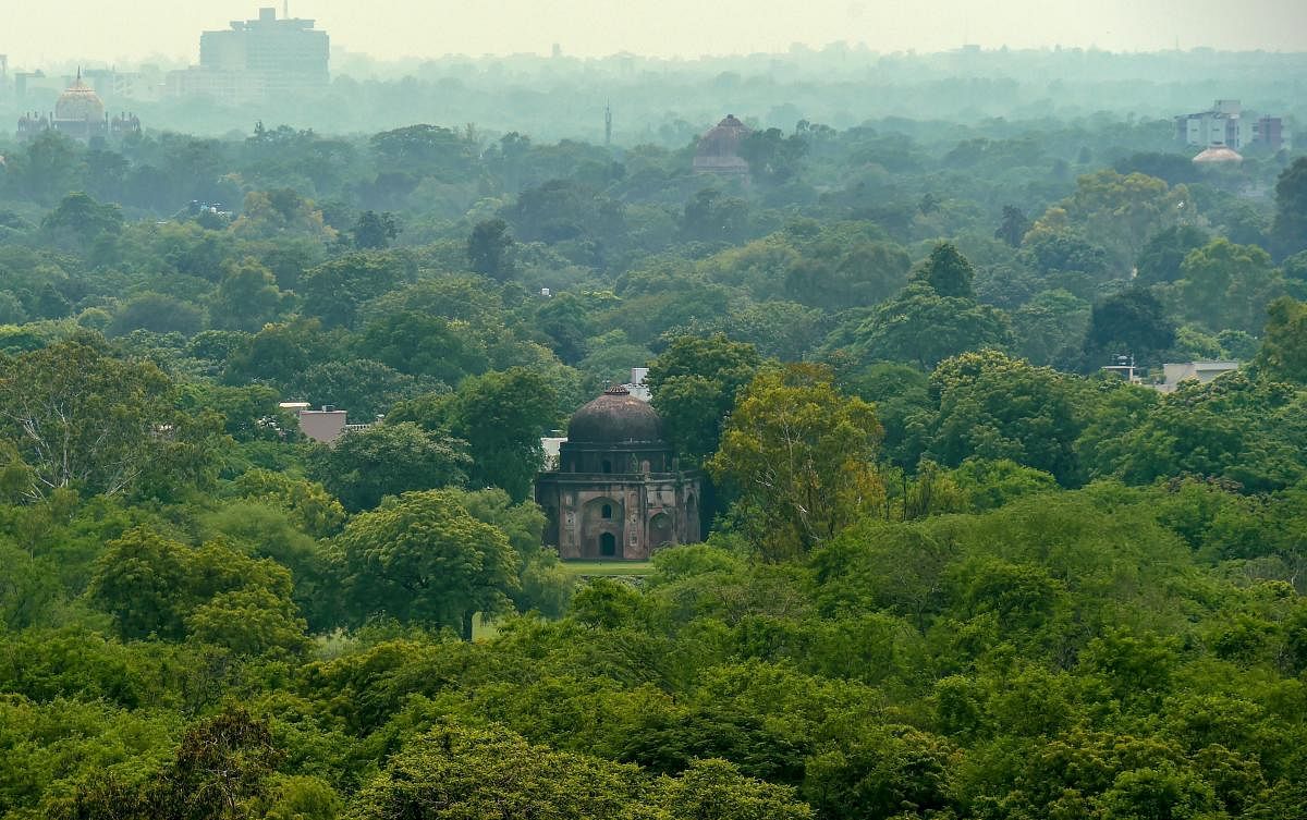 A view of the green trees in the vicinity of the Humayun's Tomb, in New Delhi. (PTI file photo)