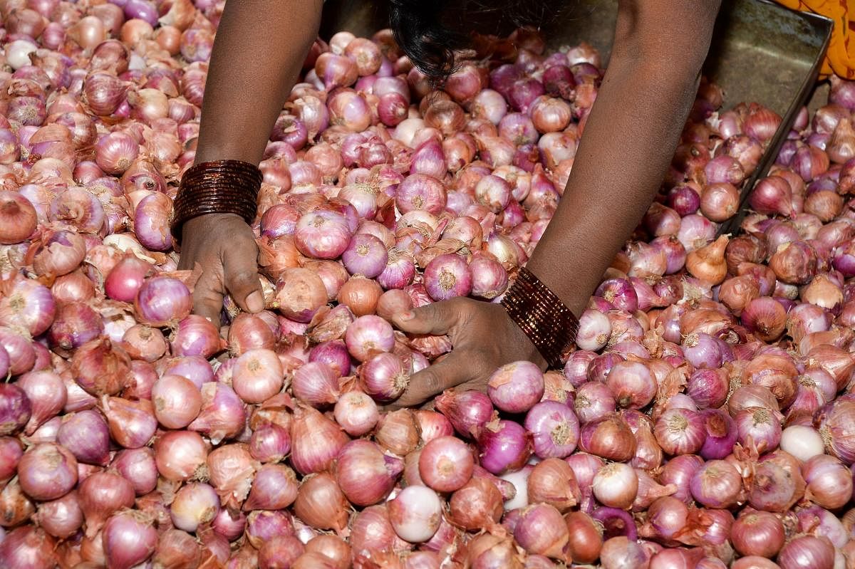 Onions at the wholesale markets in Yeshwantpur and Hubballi APMC were being sold at Rs 200 per kilogram on Friday.
