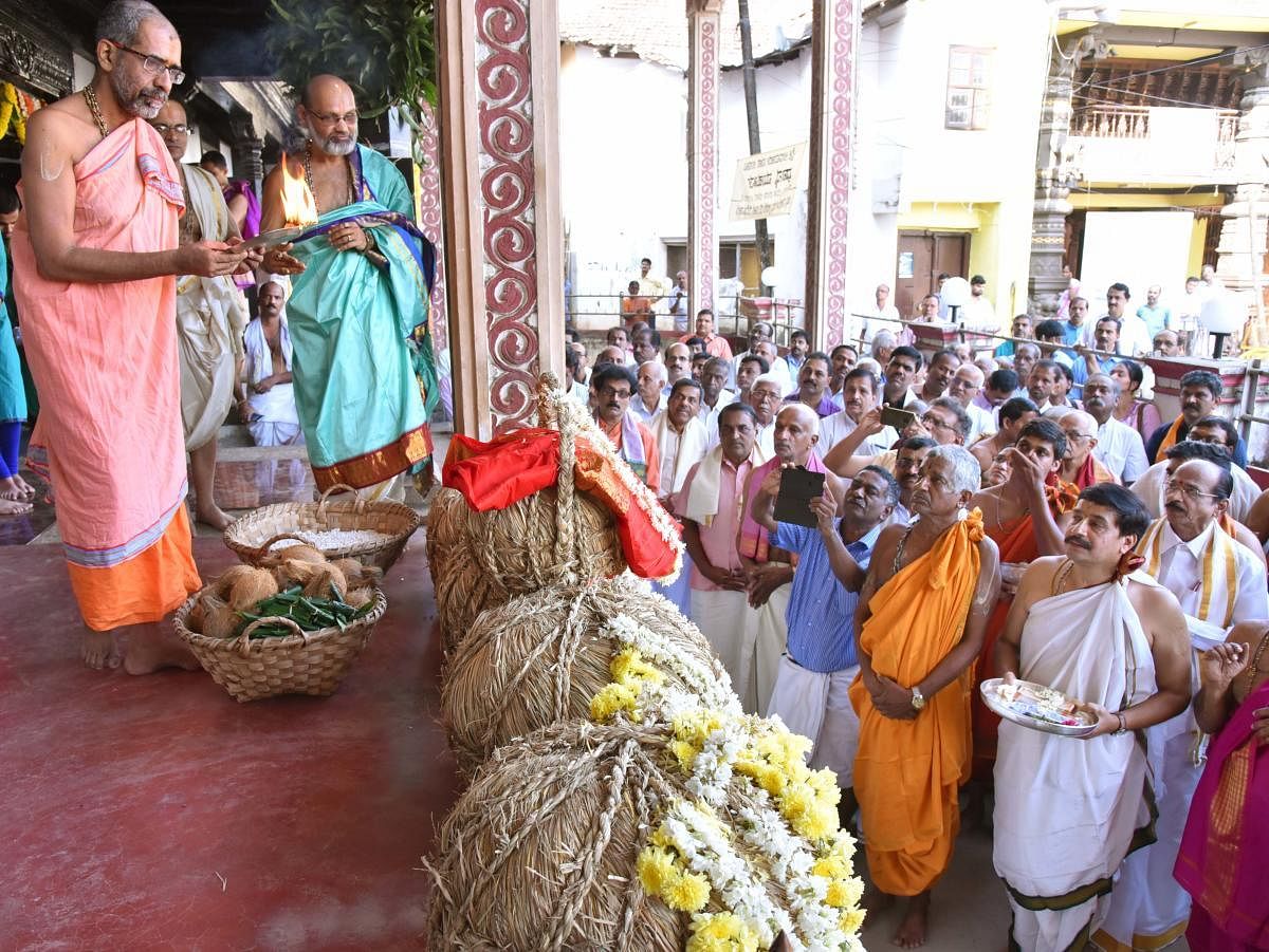 Vishwapriya Theertha Swami of Admar mutt, who will be the next pontiff to ascend Sarvajna Peeta, performs pooja to the 'Mudis' (paddy in traditional bags) on Sri Krishna temple premises in Udupi on Friday.