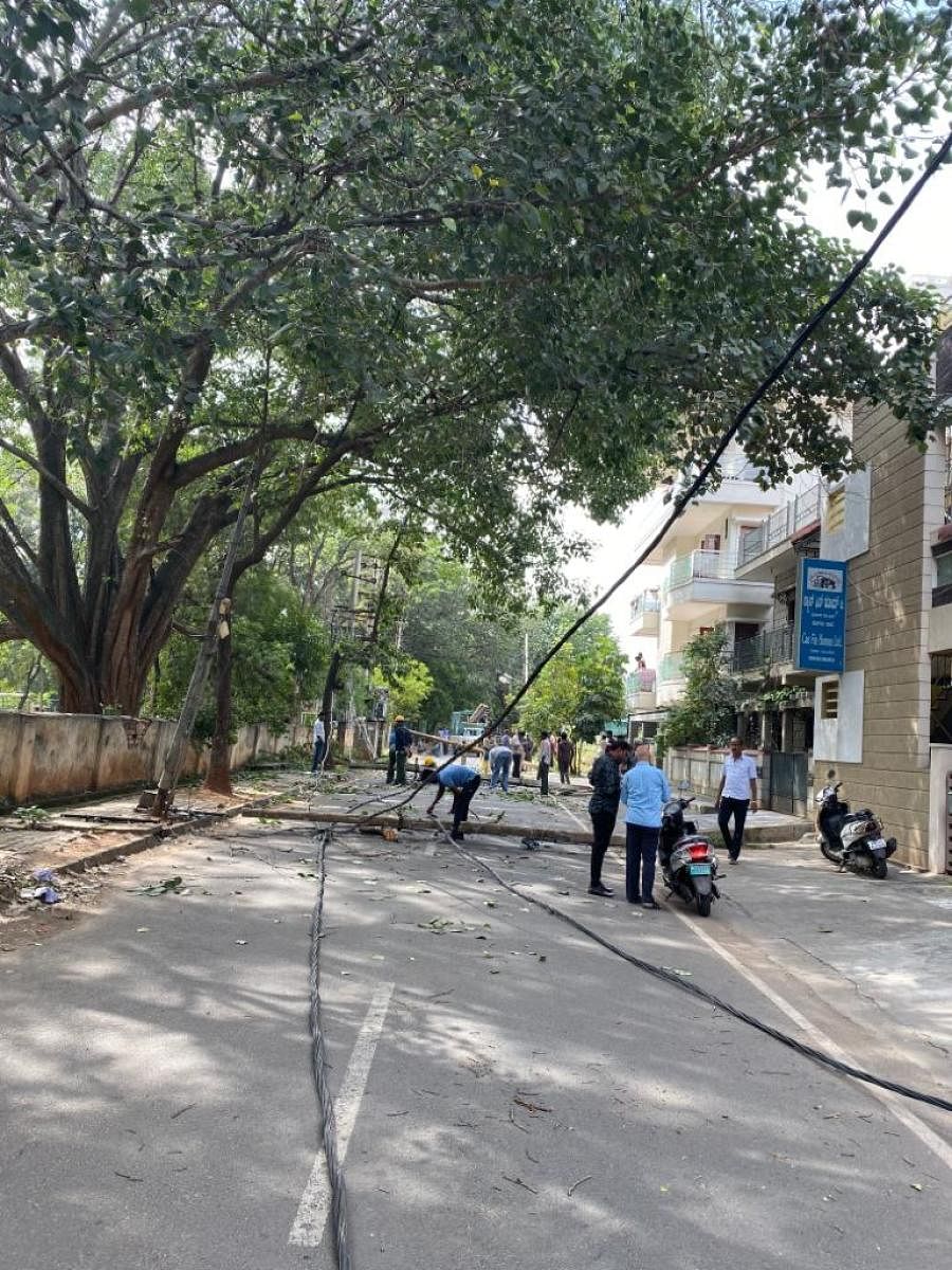 Residents and volunteers remove the fallen tree branch from a street in Kengeri Satellite Town on Saturday. SPECIAL ARRANGEMENT