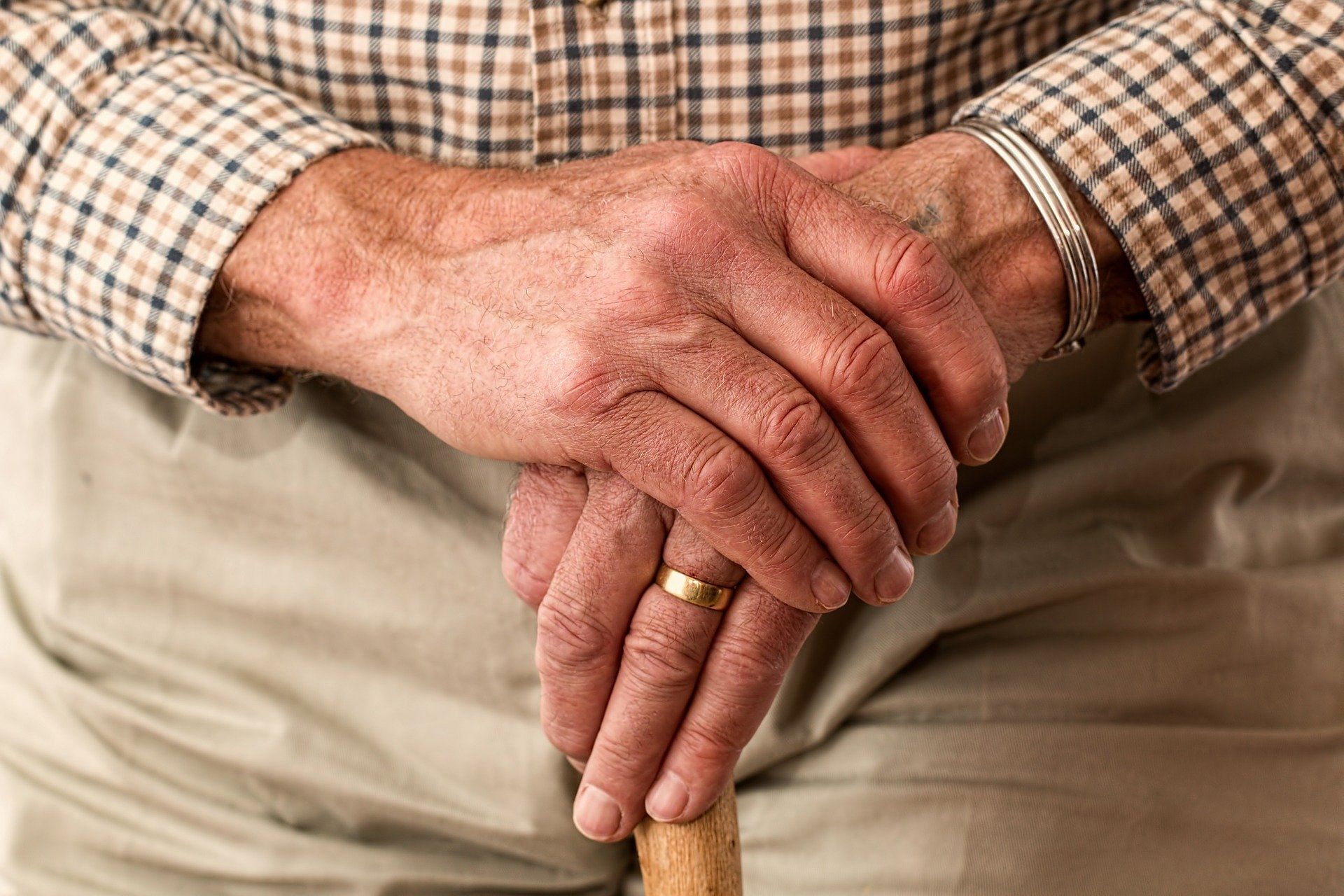 The Bill provides for establishment of a tribunal for senior citizens to file claims for maintenance and assistance and such applications from those above 80 years of age should be disposed of within 60 days. Representative image/Pixabay